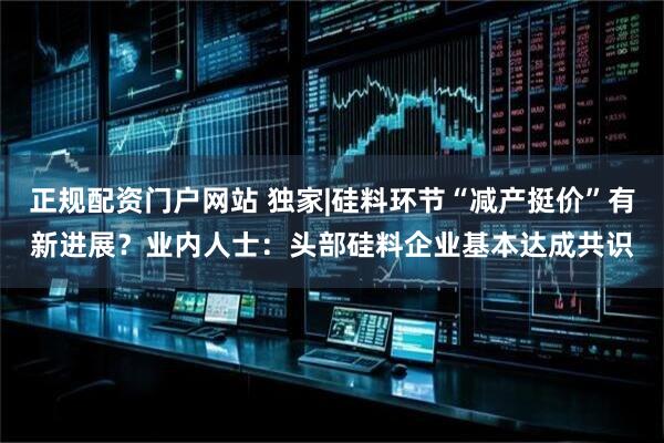 正规配资门户网站 独家|硅料环节“减产挺价”有新进展？业内人士：头部硅料企业基本达成共识